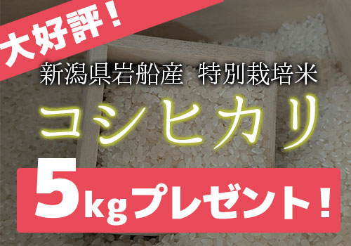 キャンペーン